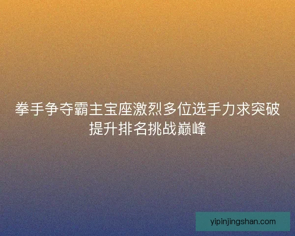 拳手争夺霸主宝座激烈多位选手力求突破提升排名挑战巅峰